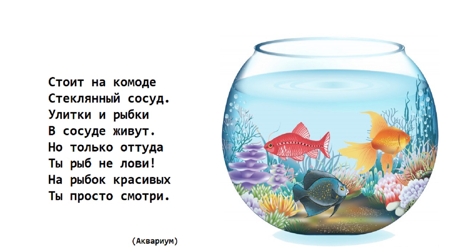 Загадки Про аквариум для детей | Загадки с ответами