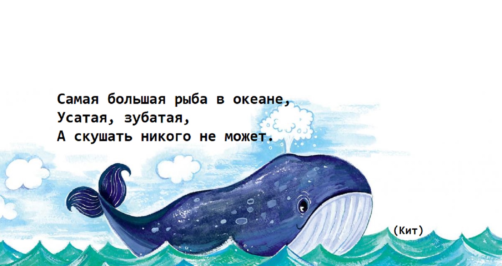 Загадки Про кита для детей | Загадки с ответами