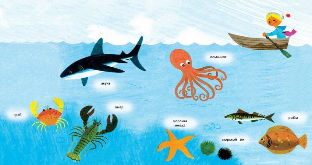 Загадки Про рыб для детей | Загадки с ответами