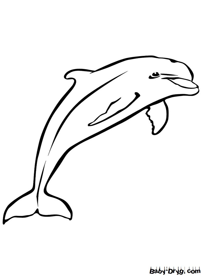 Раскраска Дельфин для детей | Распечатать раскраску