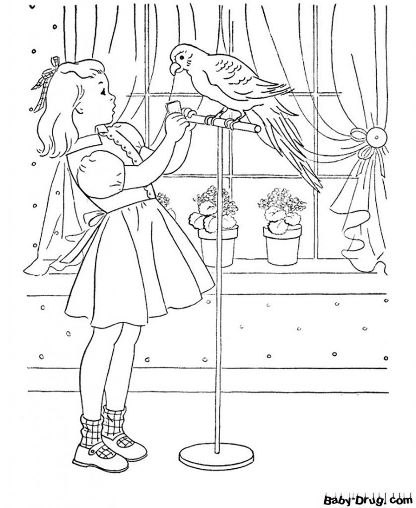Раскраска Девочка учит попугая разговаривать для детей | Распечатать раскраску