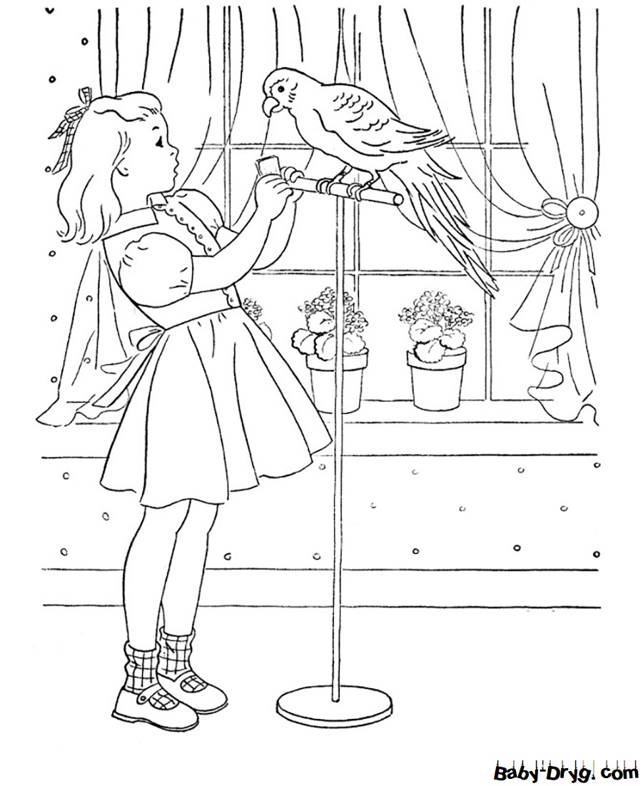 Раскраска Девочка учит попугая разговаривать для детей | Распечатать раскраску