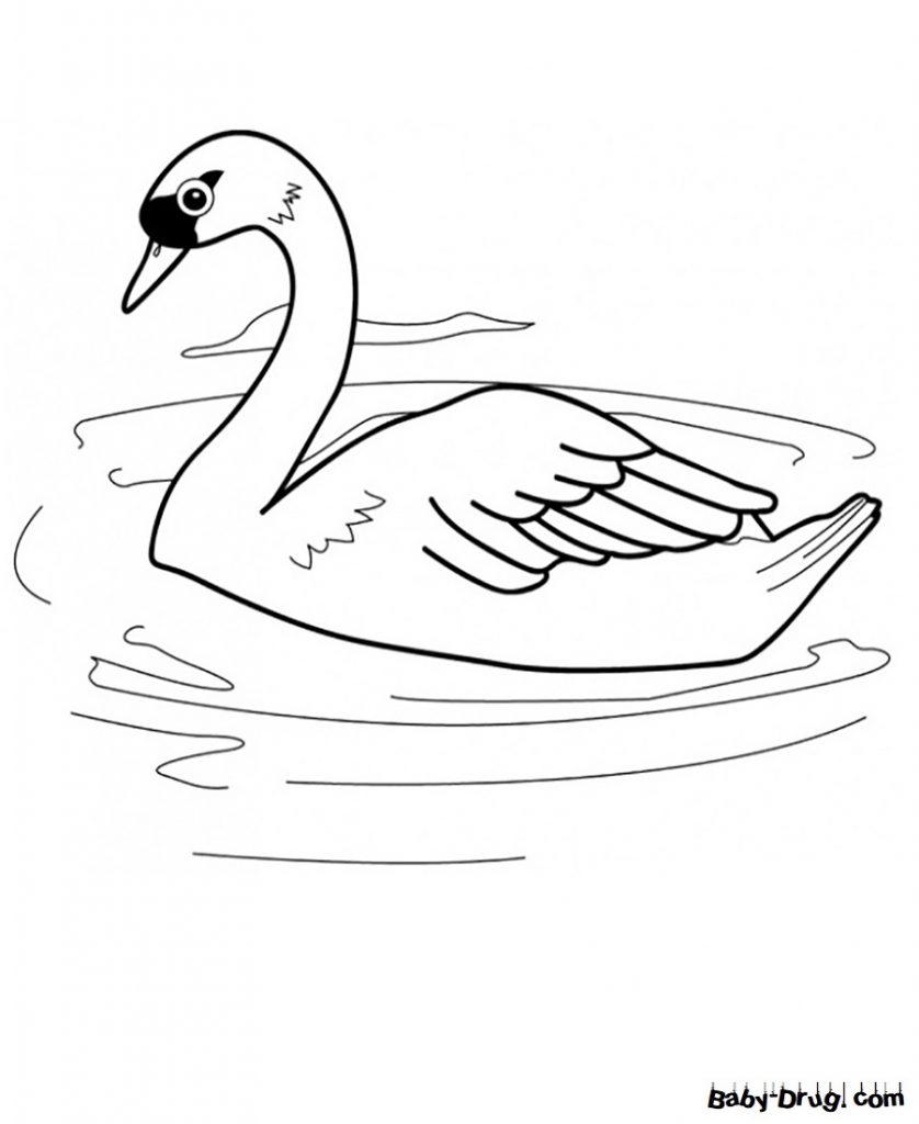 Раскраска Лебедь для детей | Распечатать раскраску