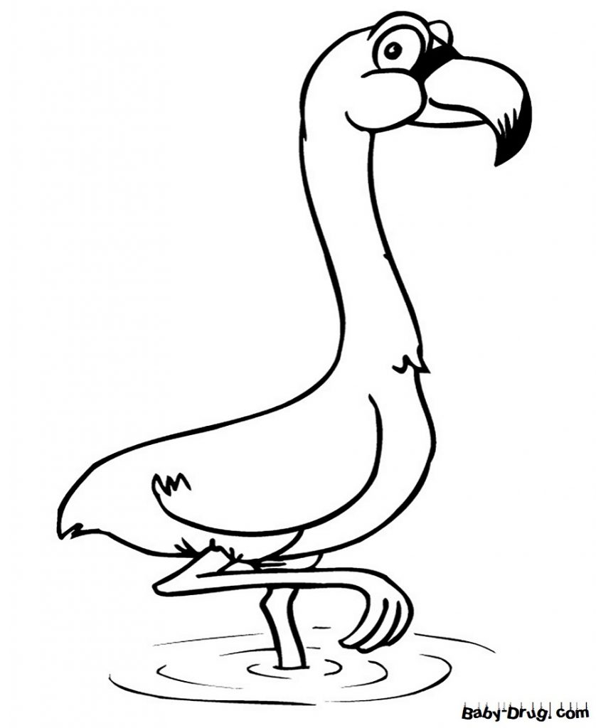 Раскраска Мультяшный фламинго для детей | Распечатать раскраску