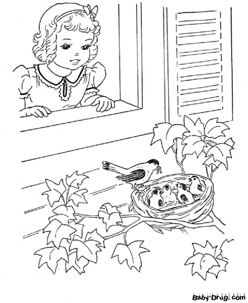 Раскраска Птенцы в гнезде под окном девочки для детей | Распечатать раскраску