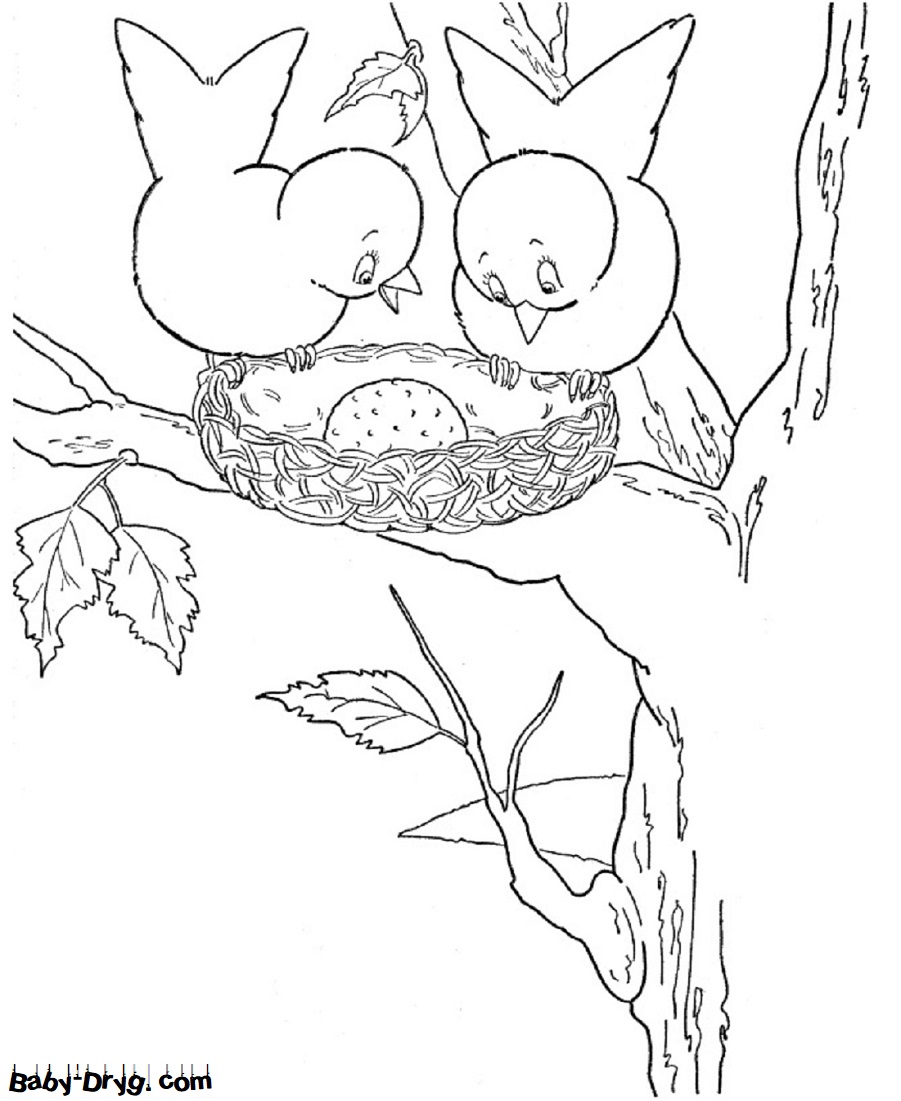 Раскраска Птичье гнездо на дерево для детей | Распечатать раскраску