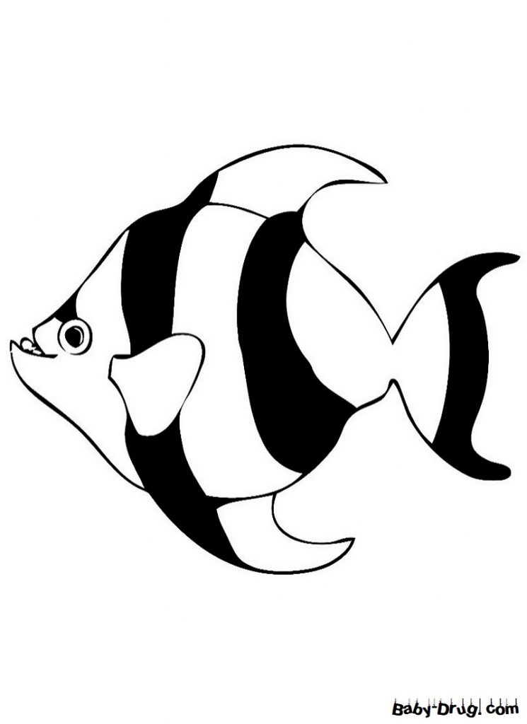 Раскраска Рыба Полосатик для детей | Распечатать раскраску
