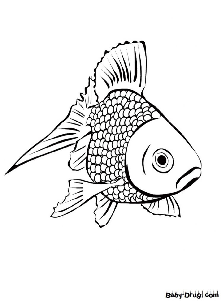 Раскраска Рыбка для детей | Распечатать раскраску