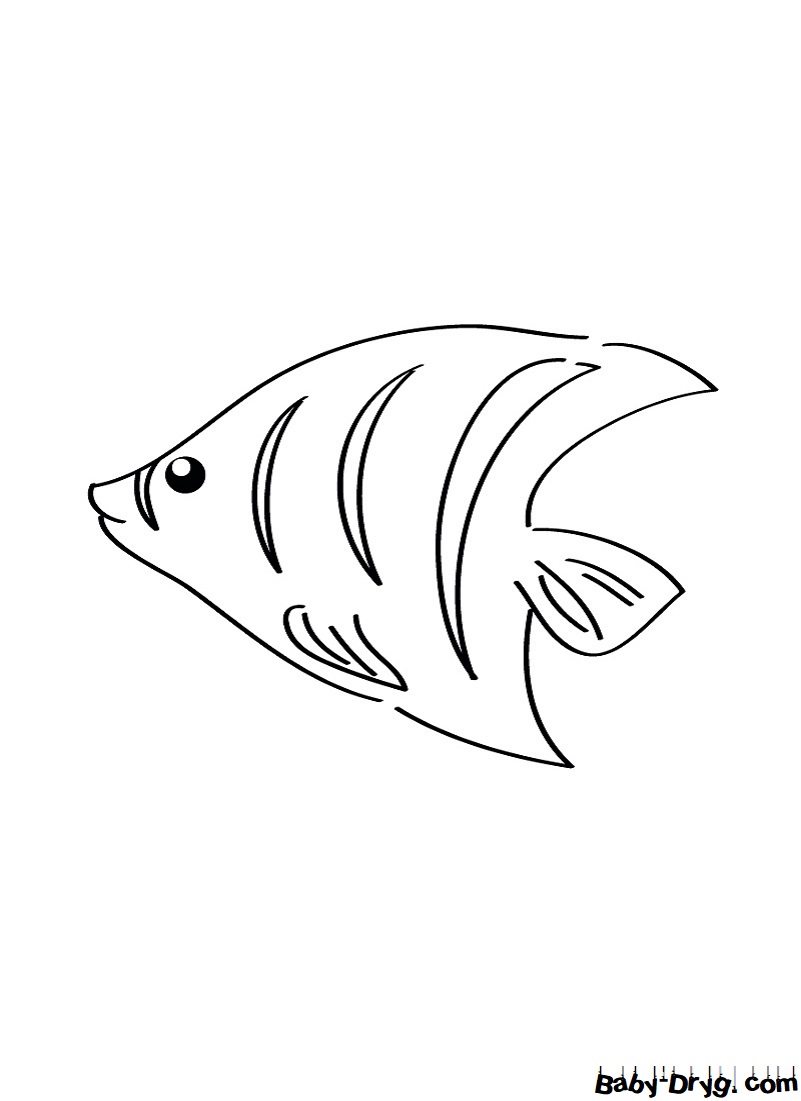 Раскраска Рыбка для малышей для детей | Распечатать раскраски