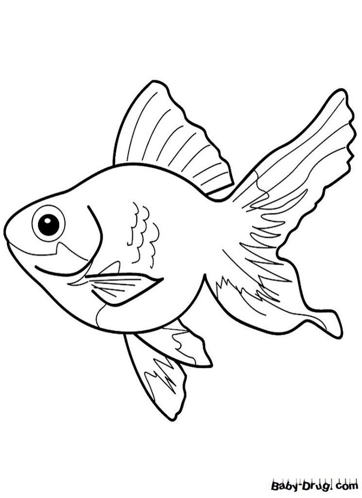 Раскраски золотая рыбка для самых маленьких (48 фото)