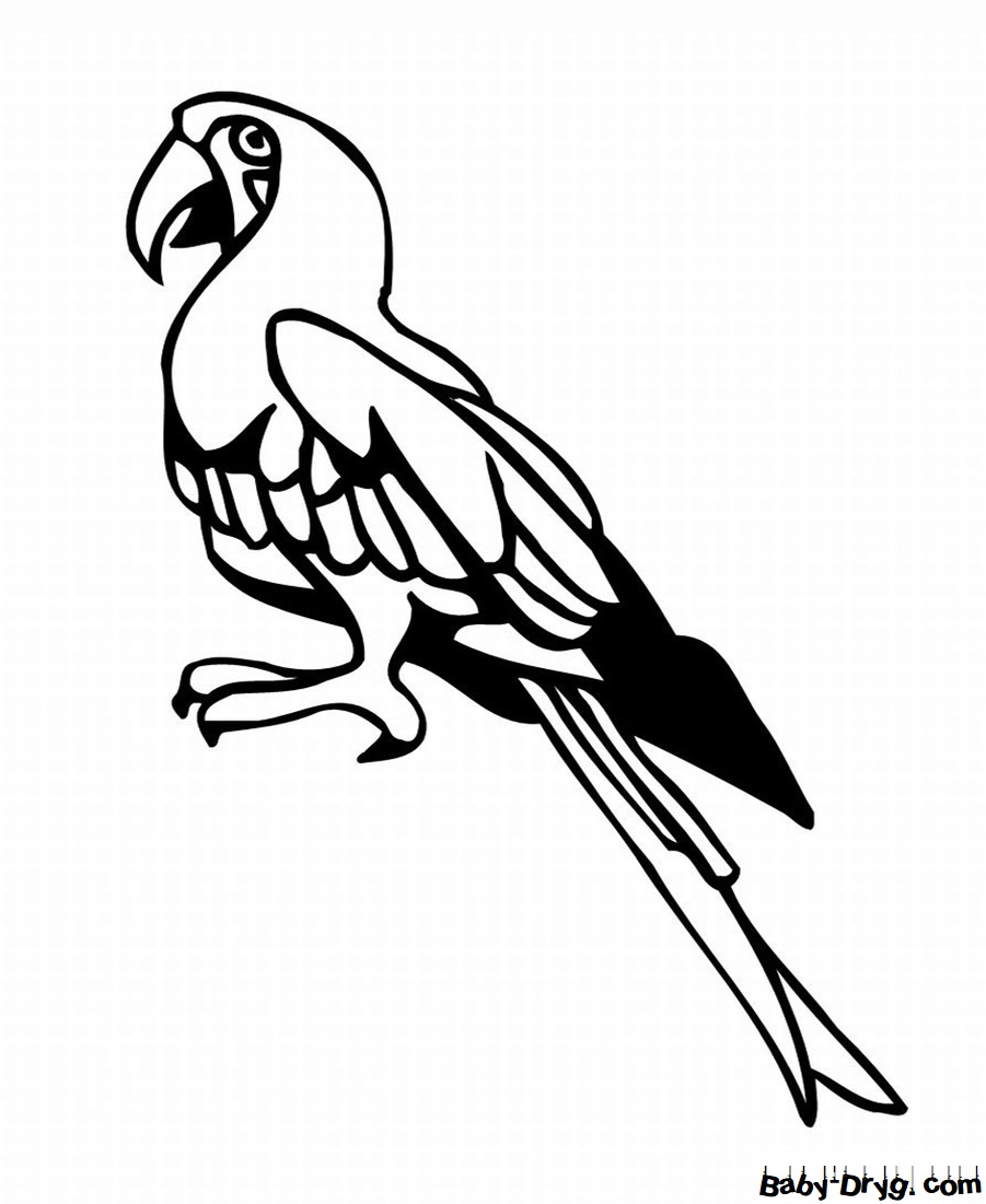 Раскраска Задумчивый попугай для детей | Распечатать раскраску