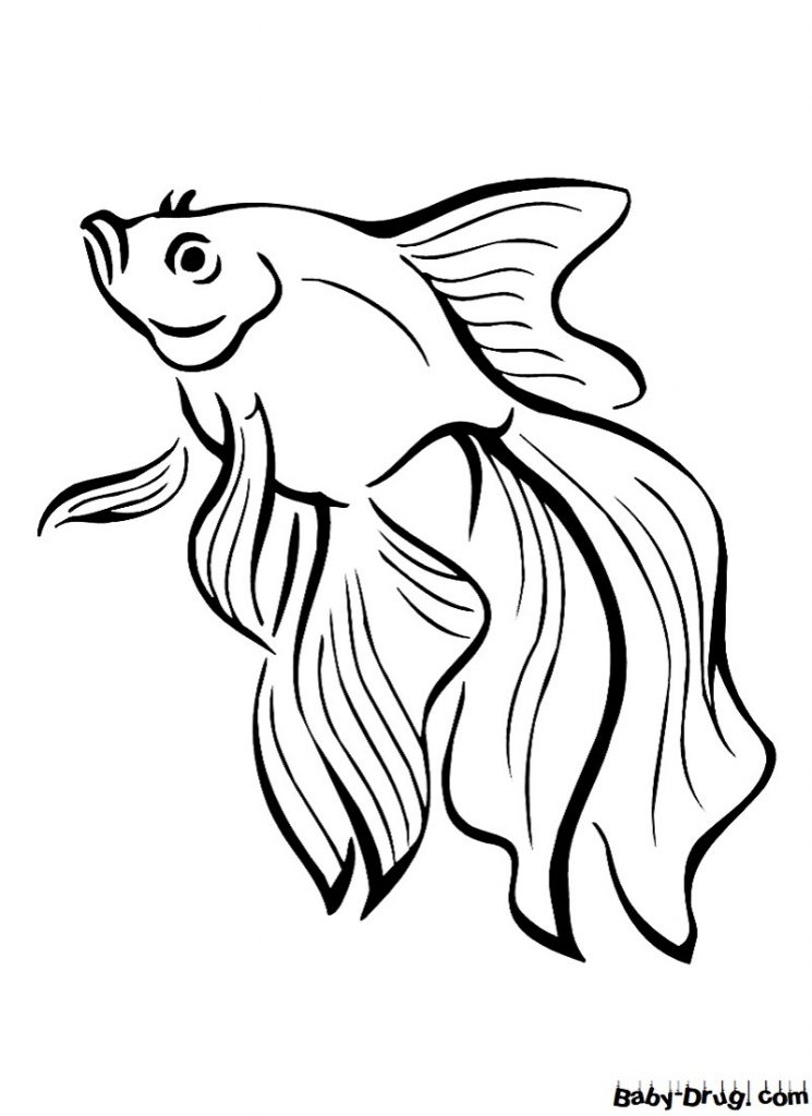 Раскраска Золотая рыбка для детей | Распечатать раскраску