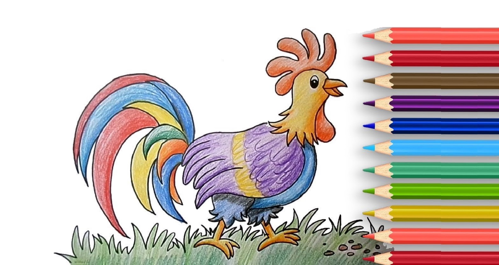 Раскраски птиц для детей | Распечатать раскраска животные