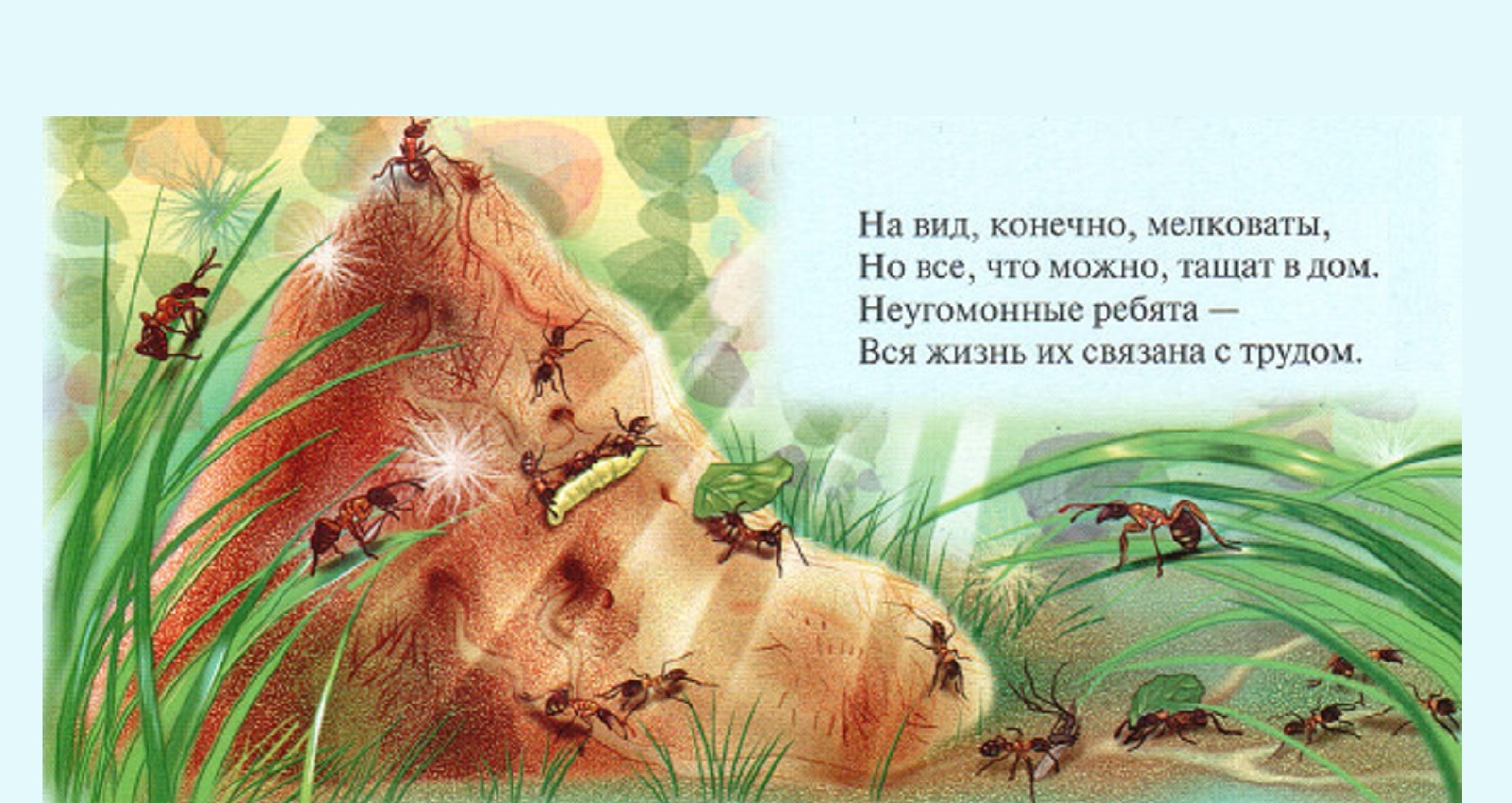 Загадки Про муравьев для детей | Загадки с ответами