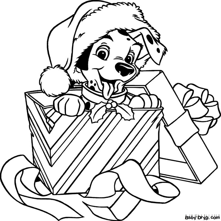 Раскраска Далматинец в подарочной коробке | Новогодние раскраски распечатать