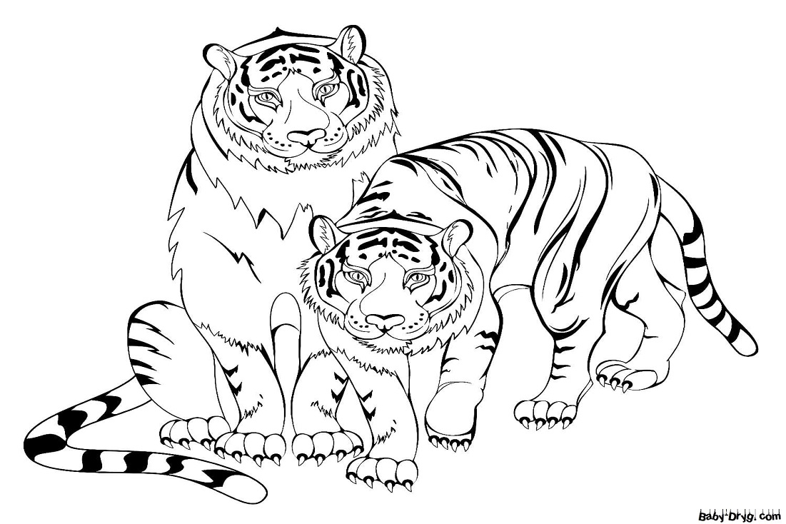 Раскраска Два тигра | Новогодние раскраски распечатать