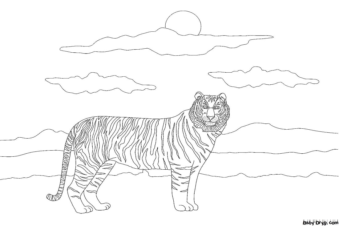 Раскраска Тигр на природе | Новогодние раскраски распечатать