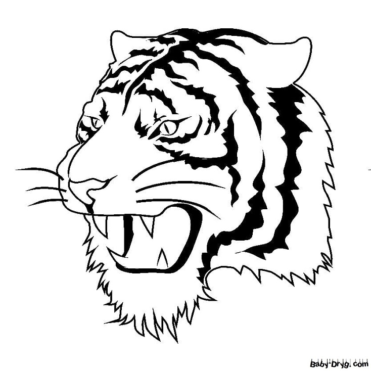 Раскраска Тигр рычит | Новогодние раскраски распечатать