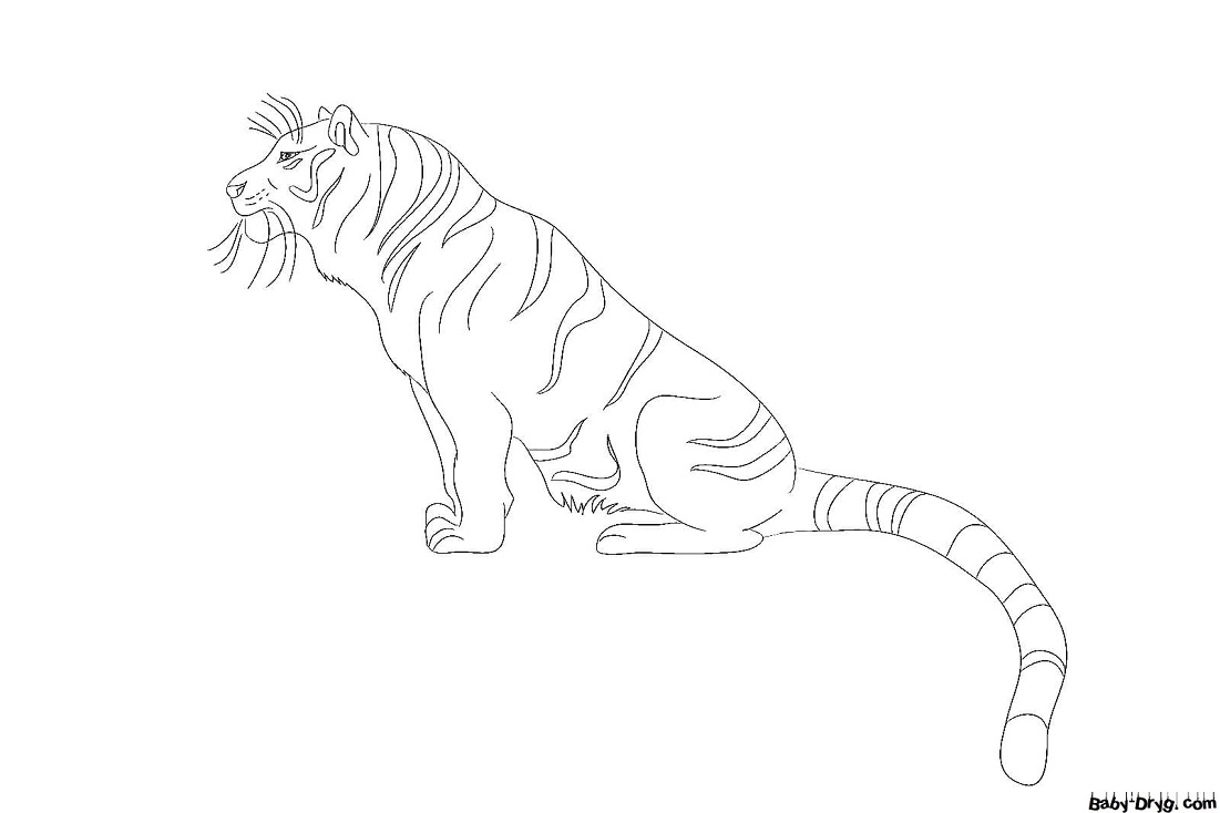 Раскраска Тигр сидит | Новогодние раскраски распечатать