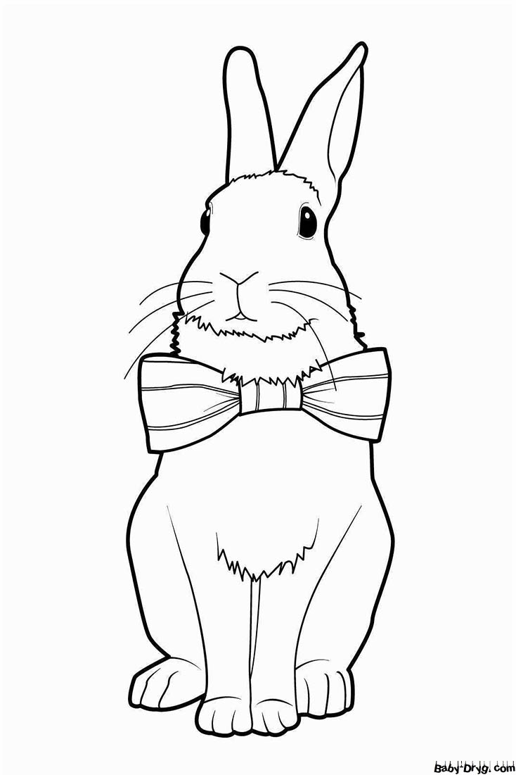 Рисунок кролика | Распечатать Раскраска Новогодний Кролик 2023
