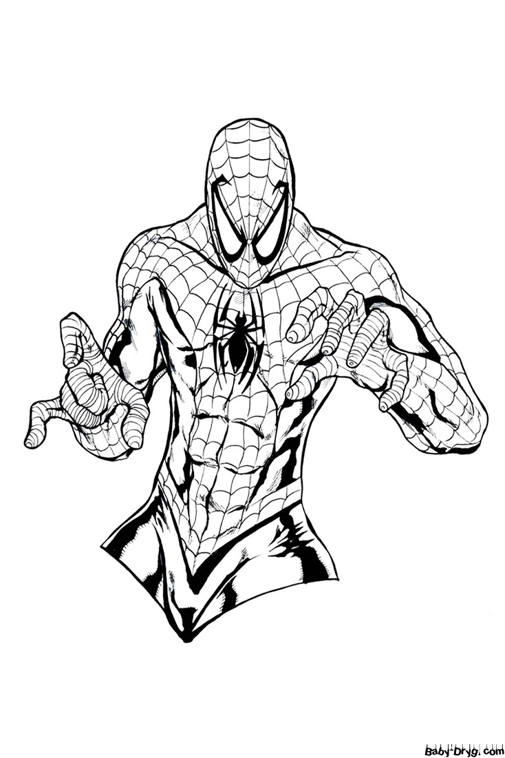 Раскраска Торс Человека паука | Раскраски Человек Паук