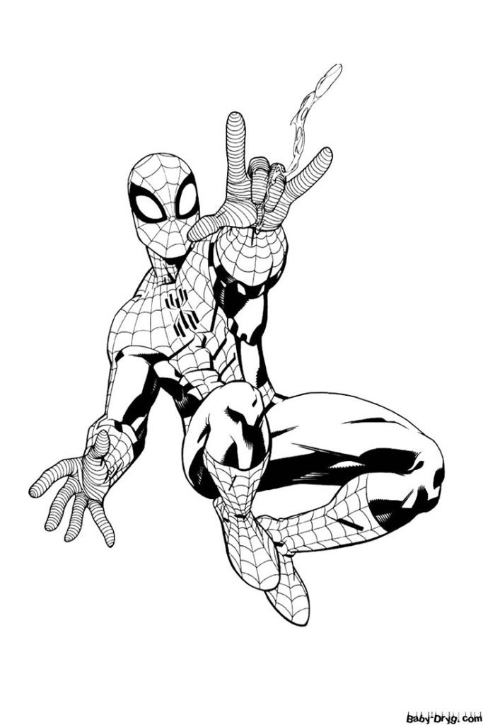 Coloring page Spider-Man and the web | Coloring Spider-Man