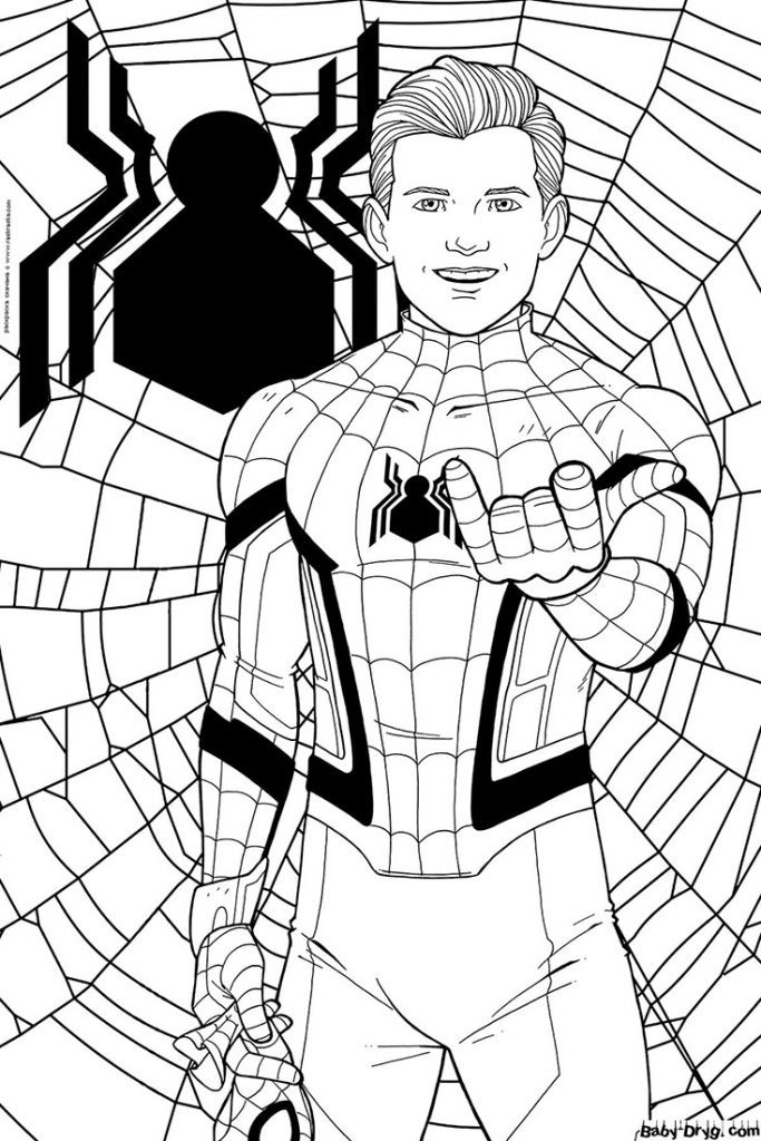 Coloring page Spider-Man on the background of the web | Coloring Spider-Man