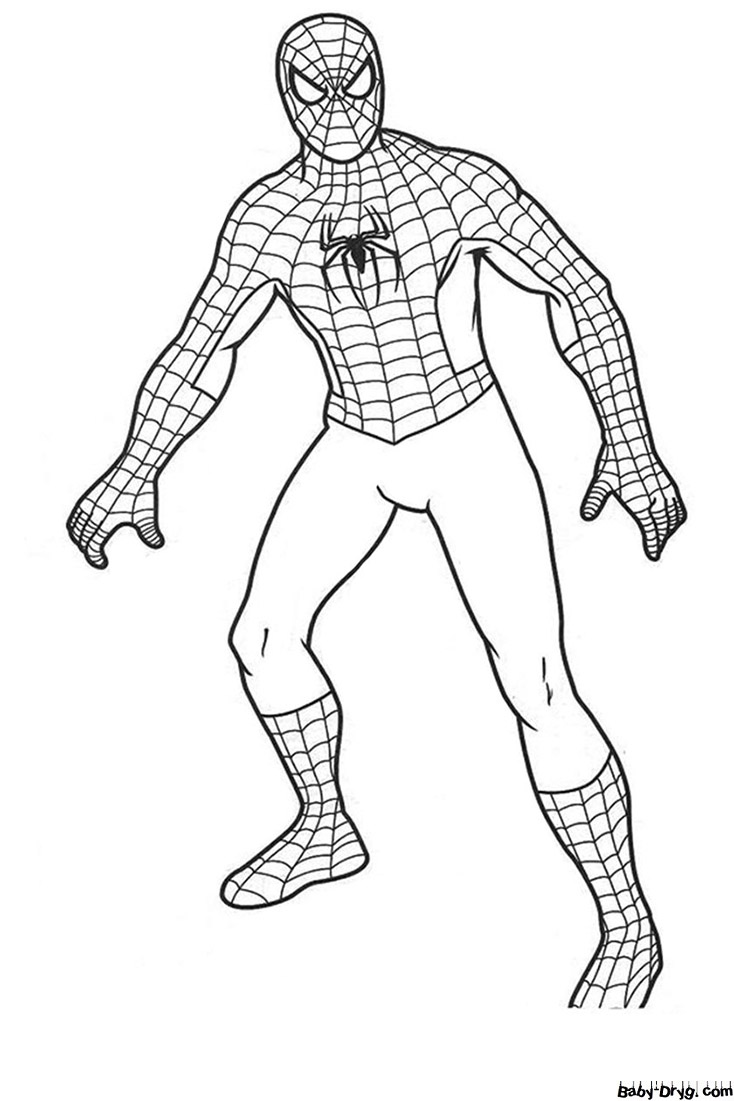 Coloring page Spider-Man print free | Coloring Spider-Man