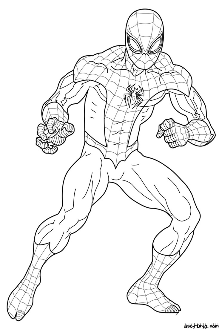 Coloring page Spiderman | Coloring Spider-Man printout