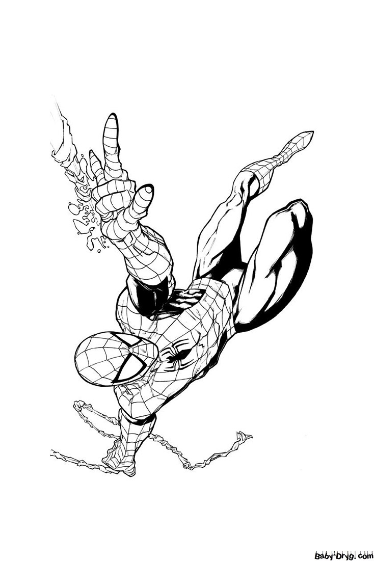 Picture of the new Spider-Man | Coloring Spider-Man