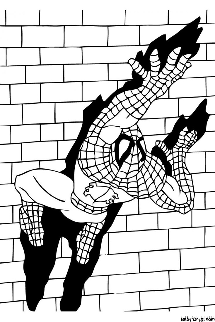 Print a picture of Spider-Man | Coloring Spider-Man
