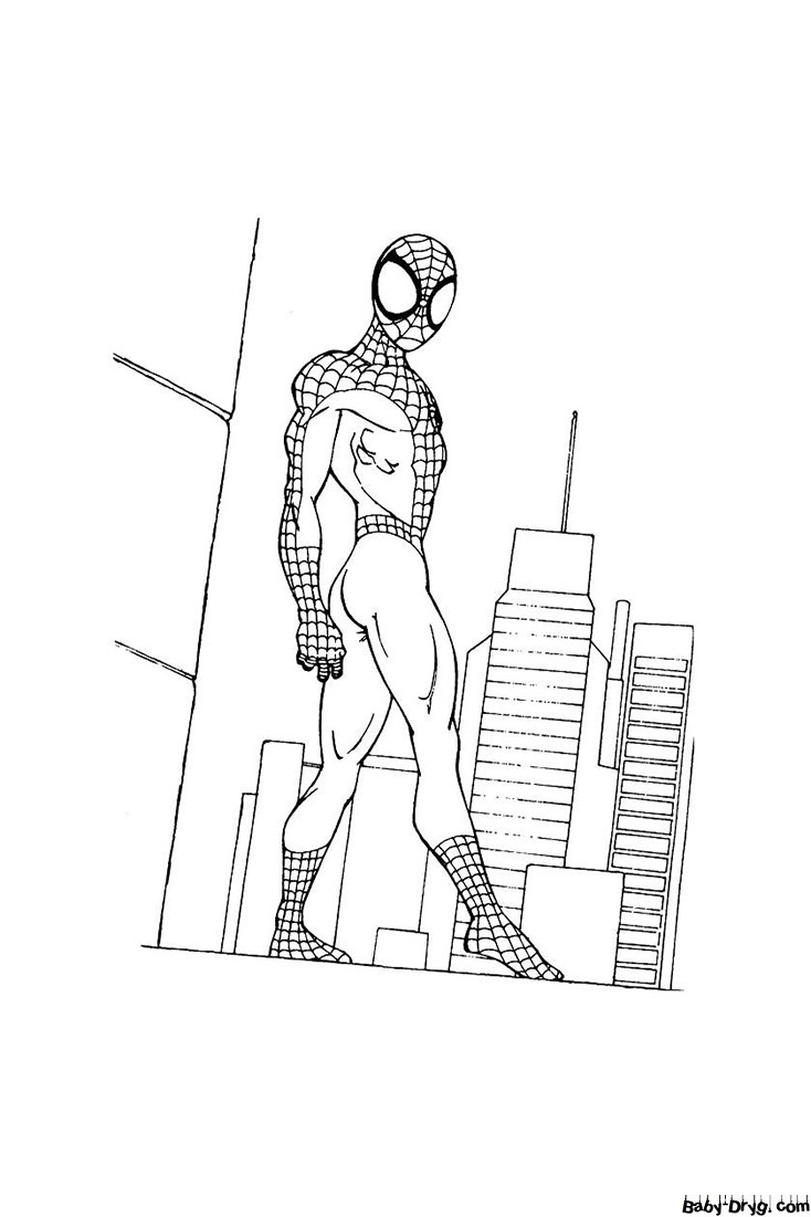 Spider-Man cartoon picture | Coloring Spider-Man printout