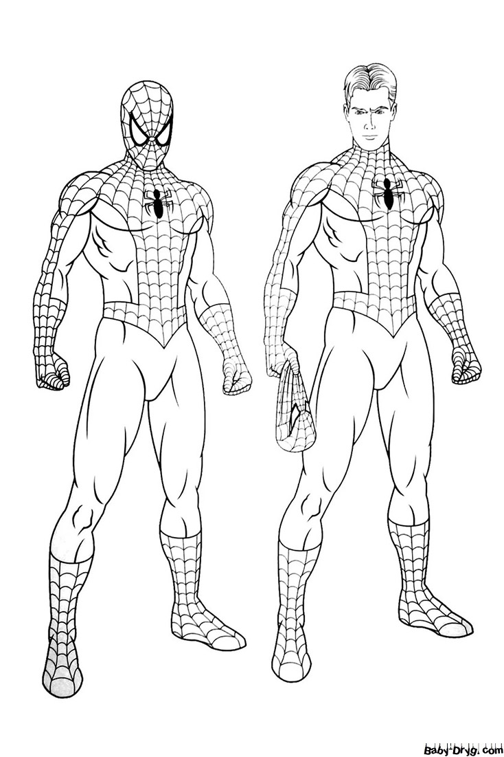 Spider-Man picture on white background | Coloring Spider-Man