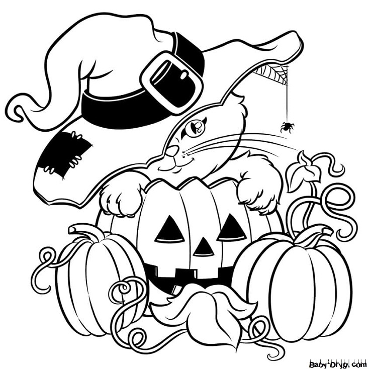 Coloring page Kitten watching a spider | Coloring Halloween