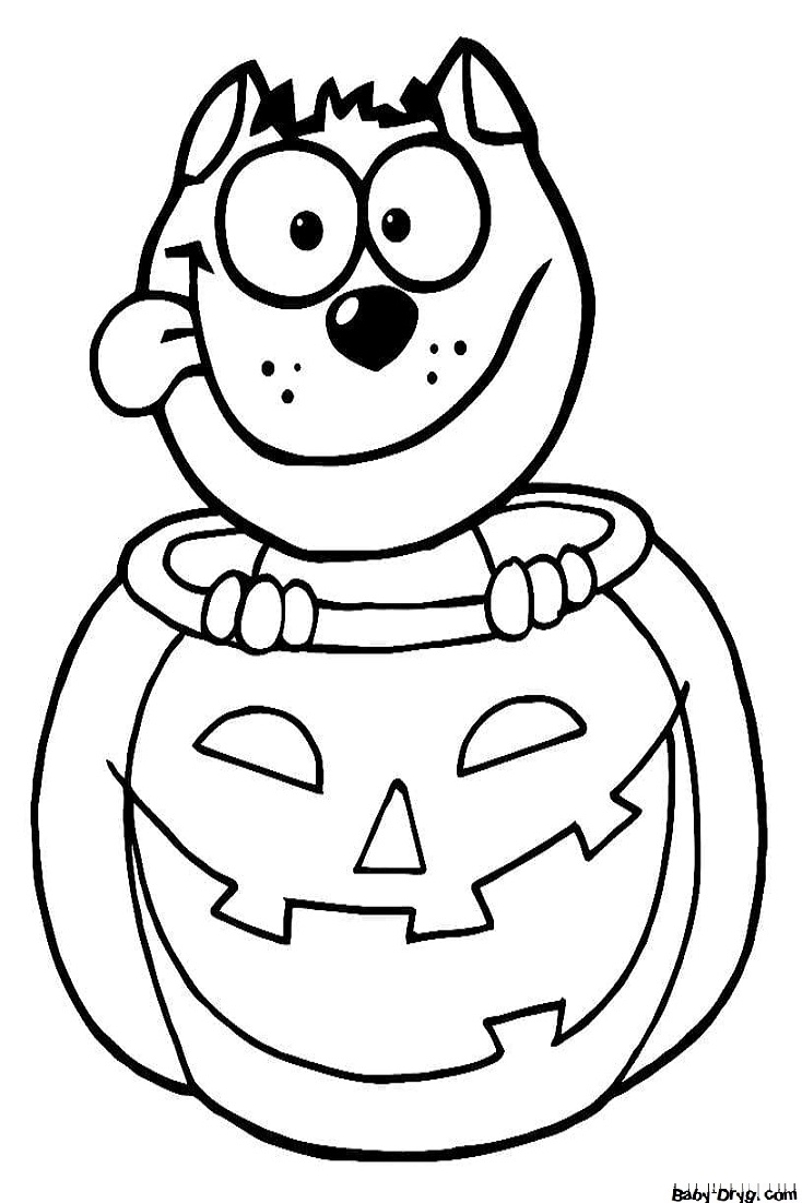 Coloring | Picture Pumpkin 27 for Halloween