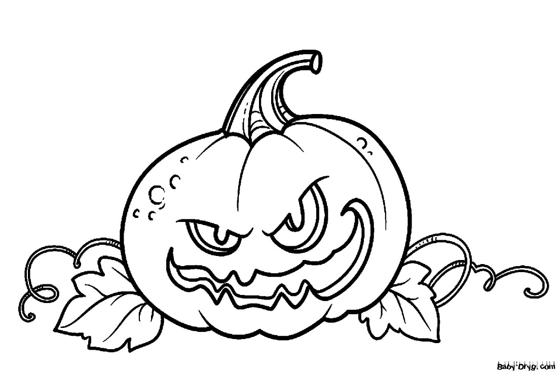 Coloring | Picture Pumpkin 32 for Halloween