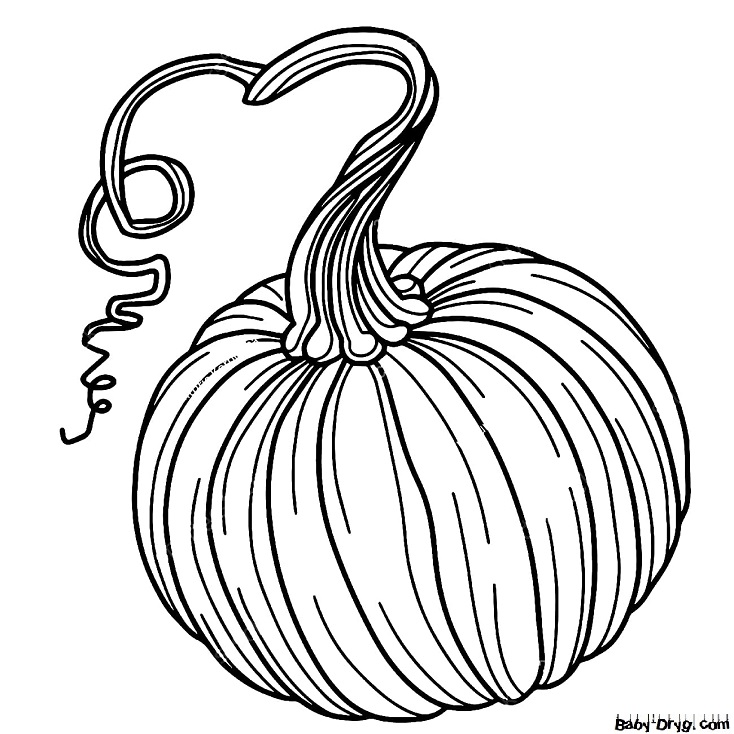 Coloring | Picture Pumpkin 36 for Halloween