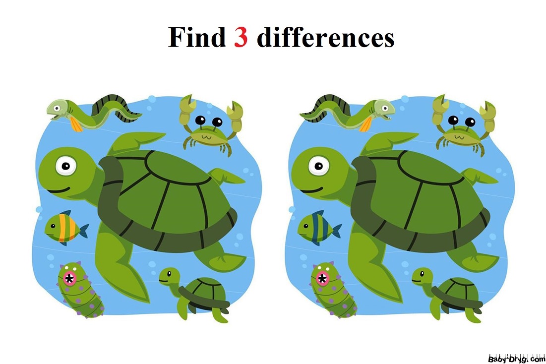Turtle | Find 3 differences for free