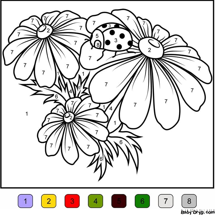 Camomile Color by Number | Color by Number Coloring Pages