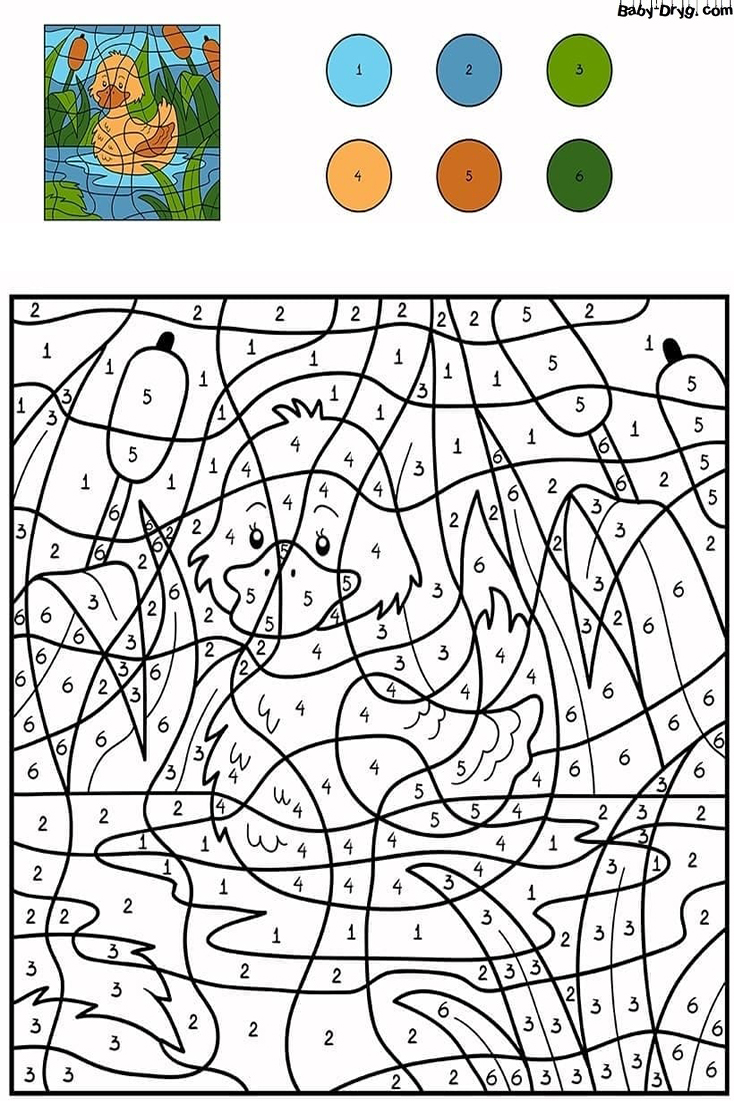 Coloring Page A duckling in a pond | Color by Number Coloring Pages