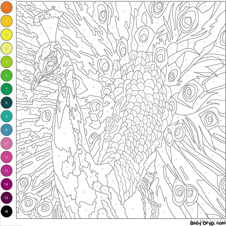 Coloring Page Peacock | Color by Number Coloring Pages