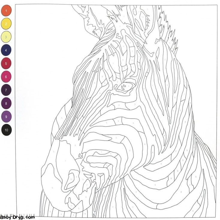 Coloring Page Zebra | Color by Number Coloring Pages