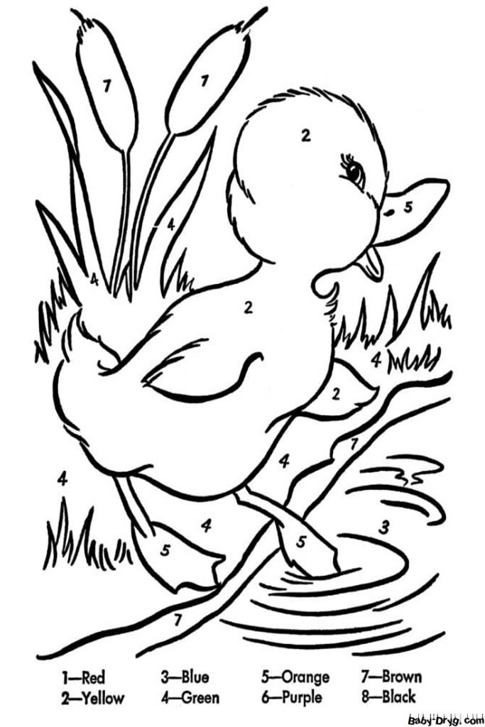 Duckling for Kindergarten Color by Number | Color by Number Coloring Pages