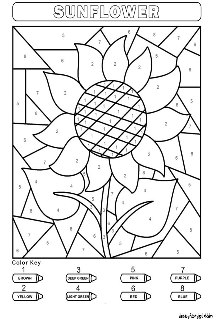 Easy Sunflower Color by Number | Color by Number Coloring Pages
