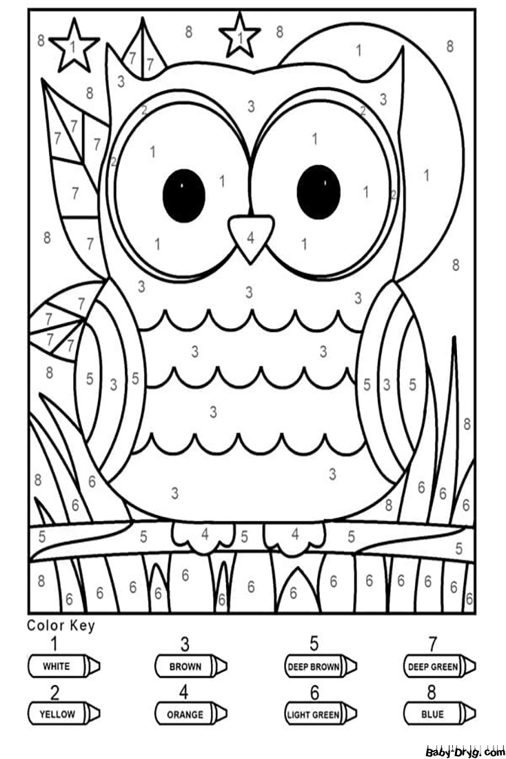 Funny Owl Color by Number | Color by Number Coloring Pages