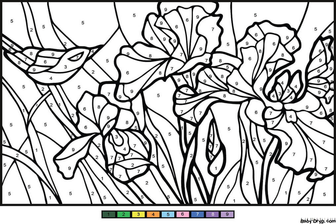 Irises Color by Number | Color by Number Coloring Pages