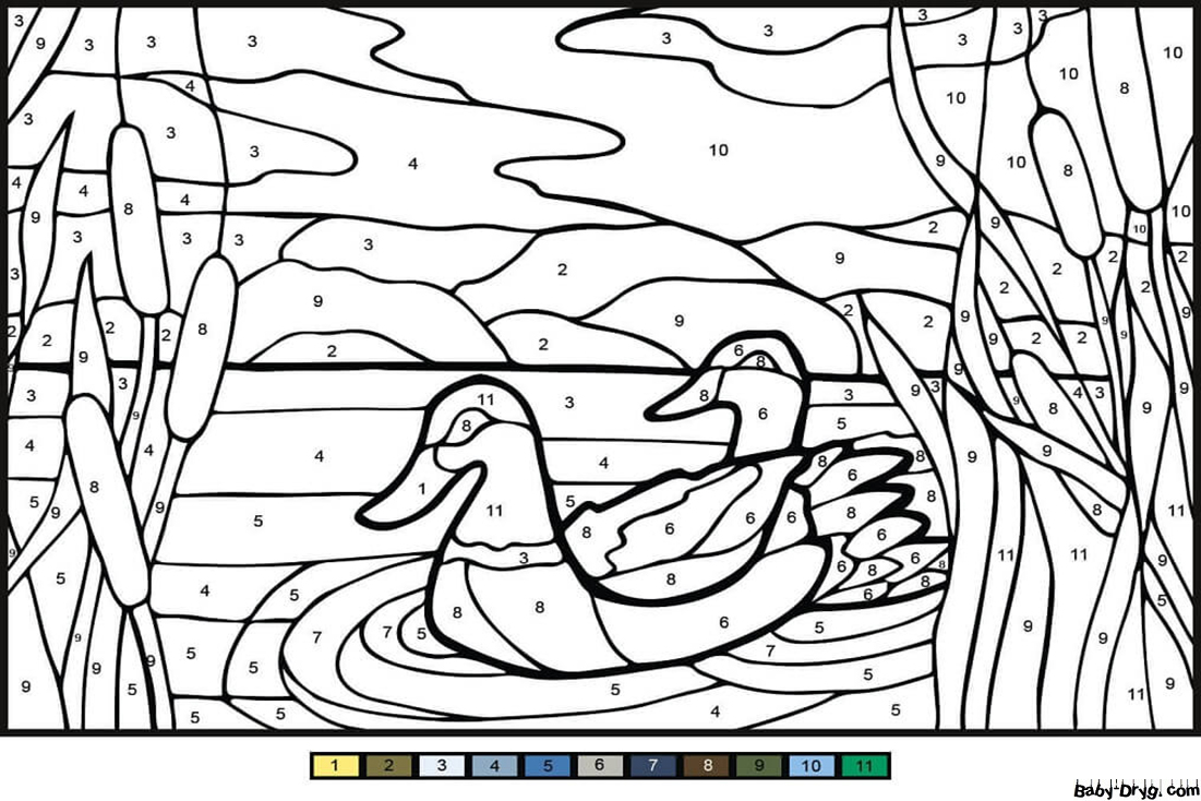 Mullard Ducks Color by Number | Color by Number Coloring Pages