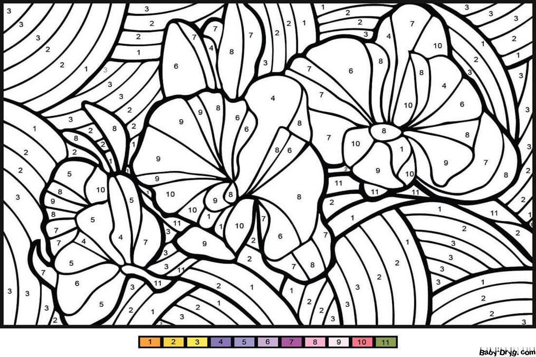 Orchid Color by Number for Adults | Color by Number Coloring Pages
