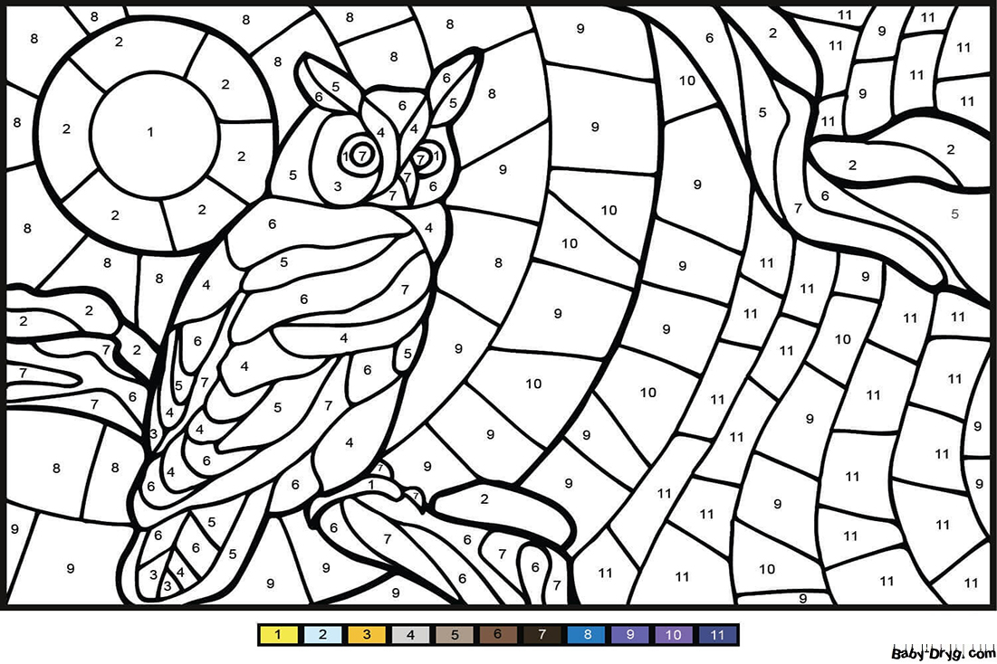 Owl Color by Number Adult | Color by Number Coloring Pages