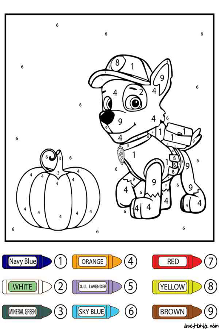 Paw Patrol Rocky and Squash Color by Number | Color by Number Coloring Pages